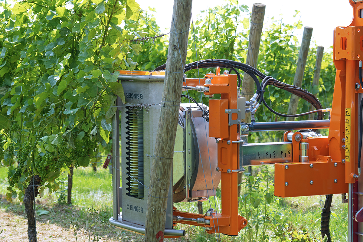 Leaf Remover