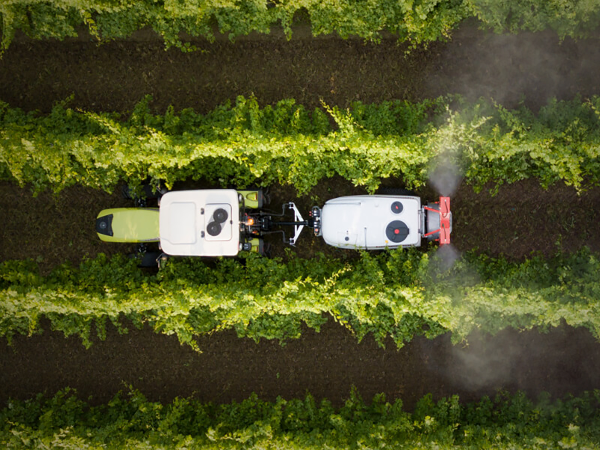 Mist Blower Sprayers