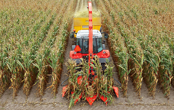 Corn Harvester