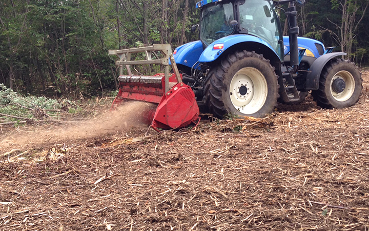 Forestry Mulcher
